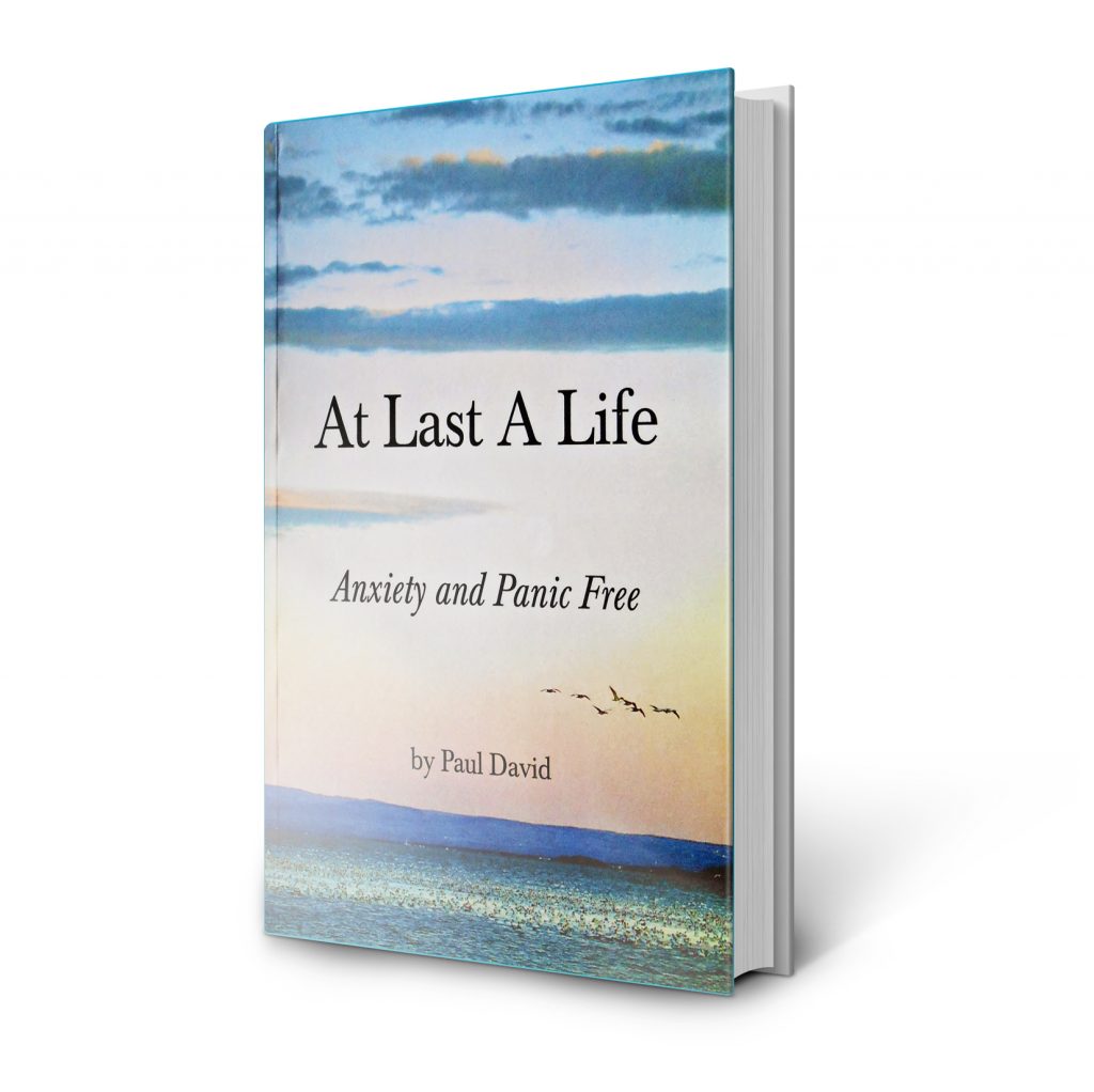 At Last a Life, the Book by Paul David | Anxietynomore